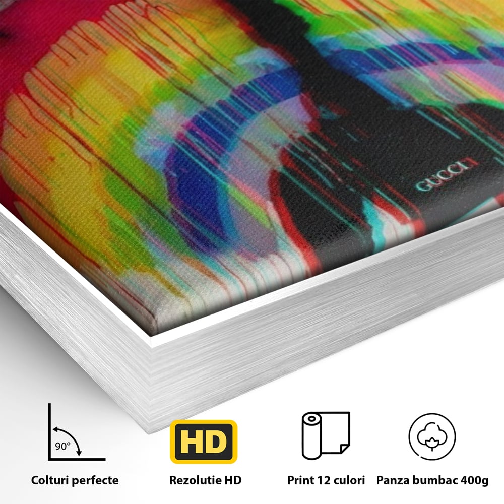 Detaliu al suprafetei: tablou canvas cu silueta si curcubeu graffiti, in rama de aluminiu argintiu